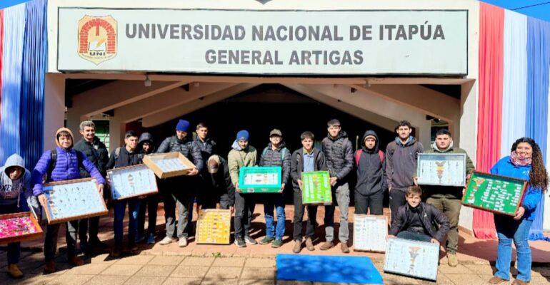 cajas entomológicos