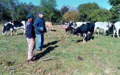 capacitación a productores