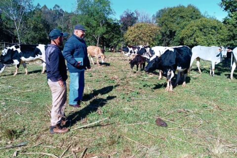 capacitación a productores