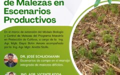 charla malezas dificiles