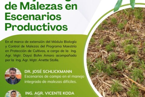 charla malezas dificiles