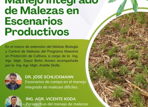 charla malezas dificiles