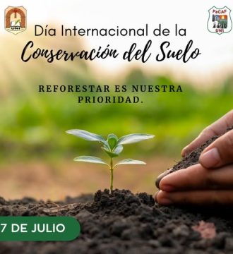 dia del suelo