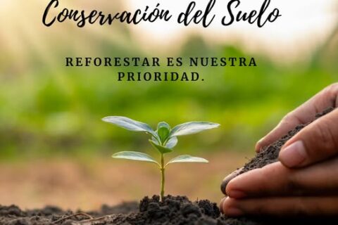 dia del suelo