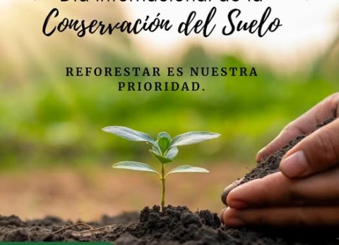 dia del suelo