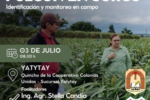 evento pulgón