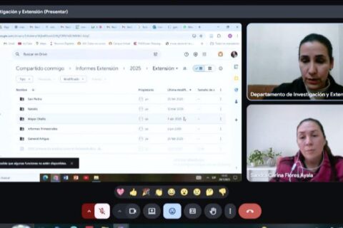 extensión-comunicación