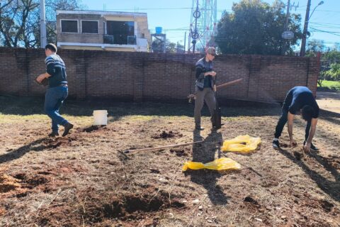 extensión-preparación de suelo posgrado