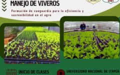 inicio de clases tecnicatura