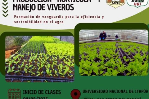 inicio de clases tecnicatura