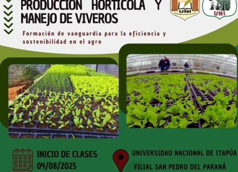 inicio de clases tecnicatura