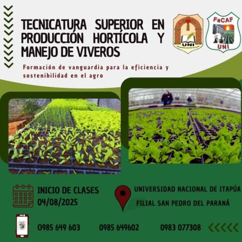 inicio de clases tecnicatura