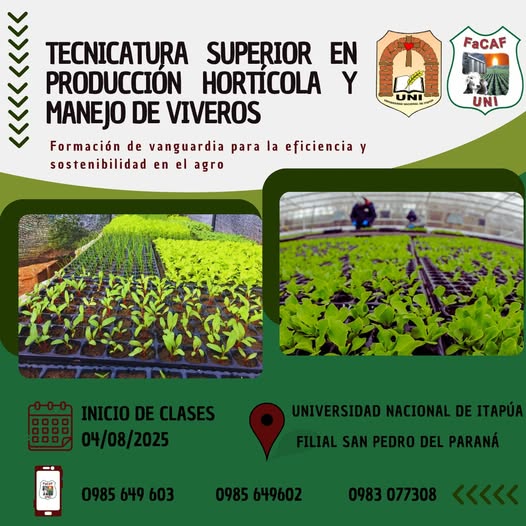 inicio de clases tecnicatura