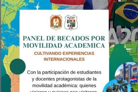 internacionalización