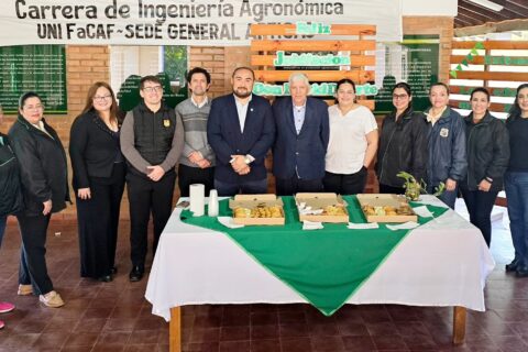 jubilación don david
