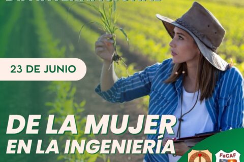 mujer ingeniera