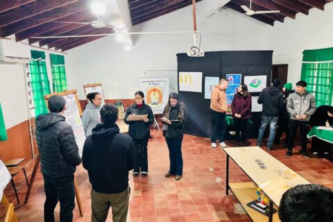 presentación genética