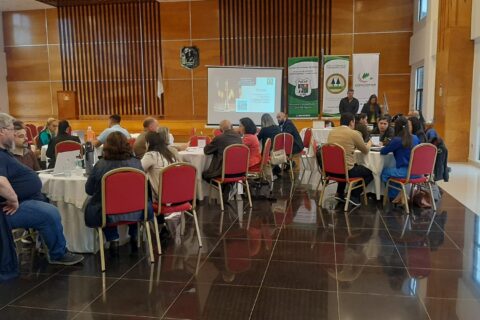 taller cooperativas