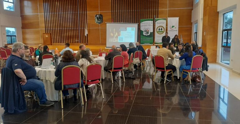 taller cooperativas