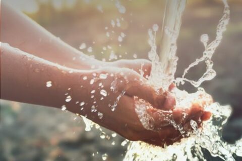 Agua