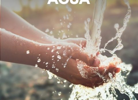 Agua