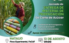 azucar