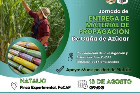 azucar