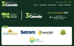 canola