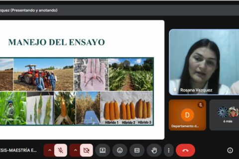 defensa de tesis MPC