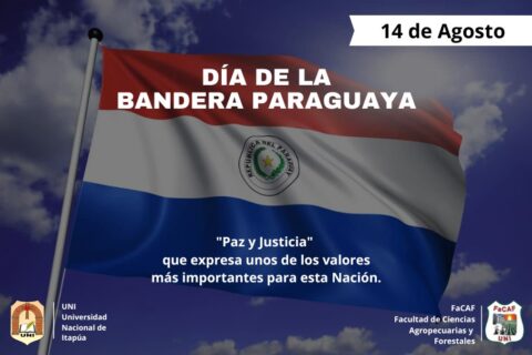 dia de la bandera
