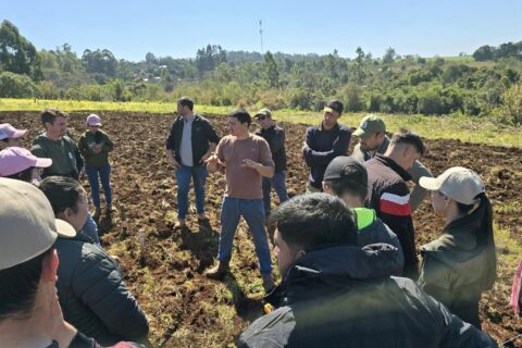 ensayos agrícolas