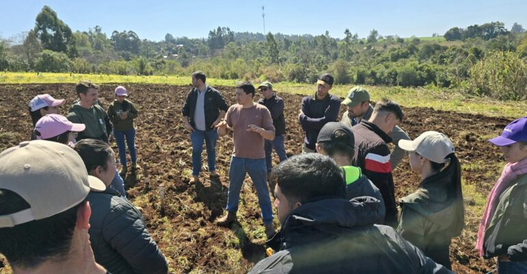 ensayos agrícolas