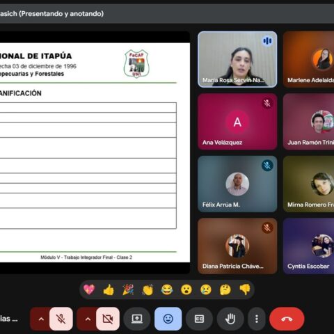 módulo V