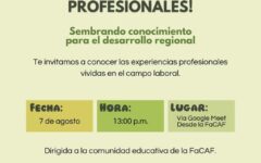 presentacion pasantia
