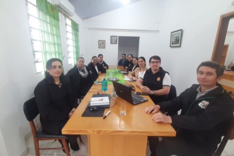 reunión artigas