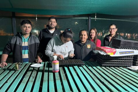siembra de hortalizas