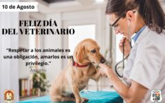 veterinario
