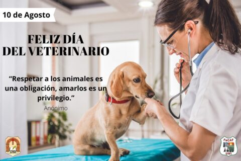 veterinario