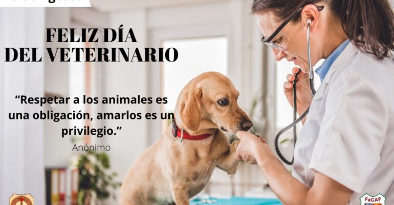 veterinario