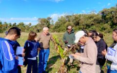 visita técnica artigas