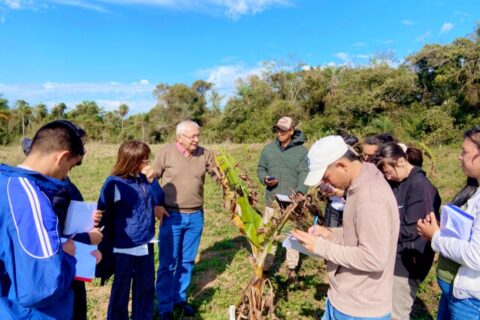 visita técnica artigas