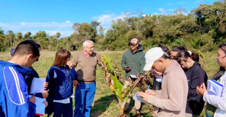 visita técnica artigas
