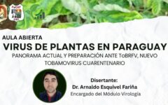 Virus en Planta