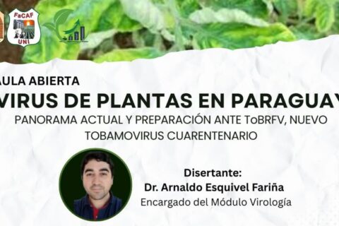 Virus en Planta