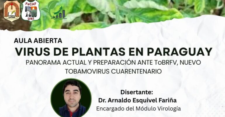 Virus en Planta