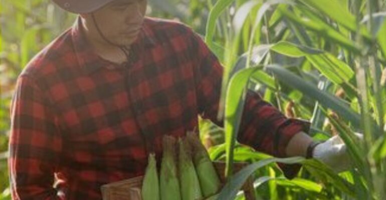 agricultura
