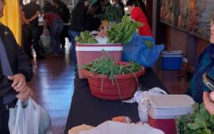 agroferia