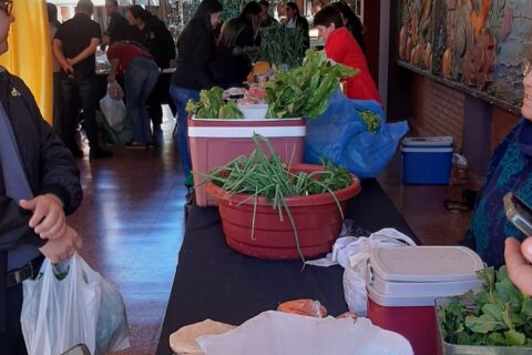 agroferia