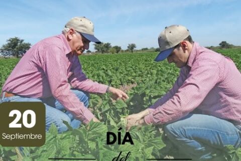 agrónomos