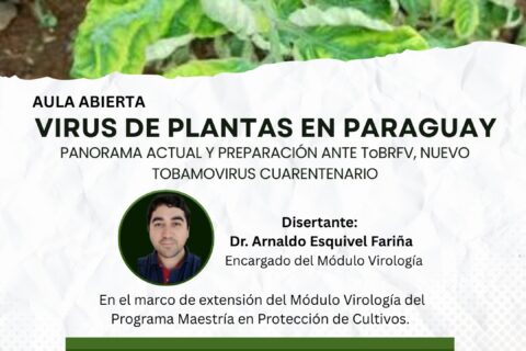 aula abierta virología